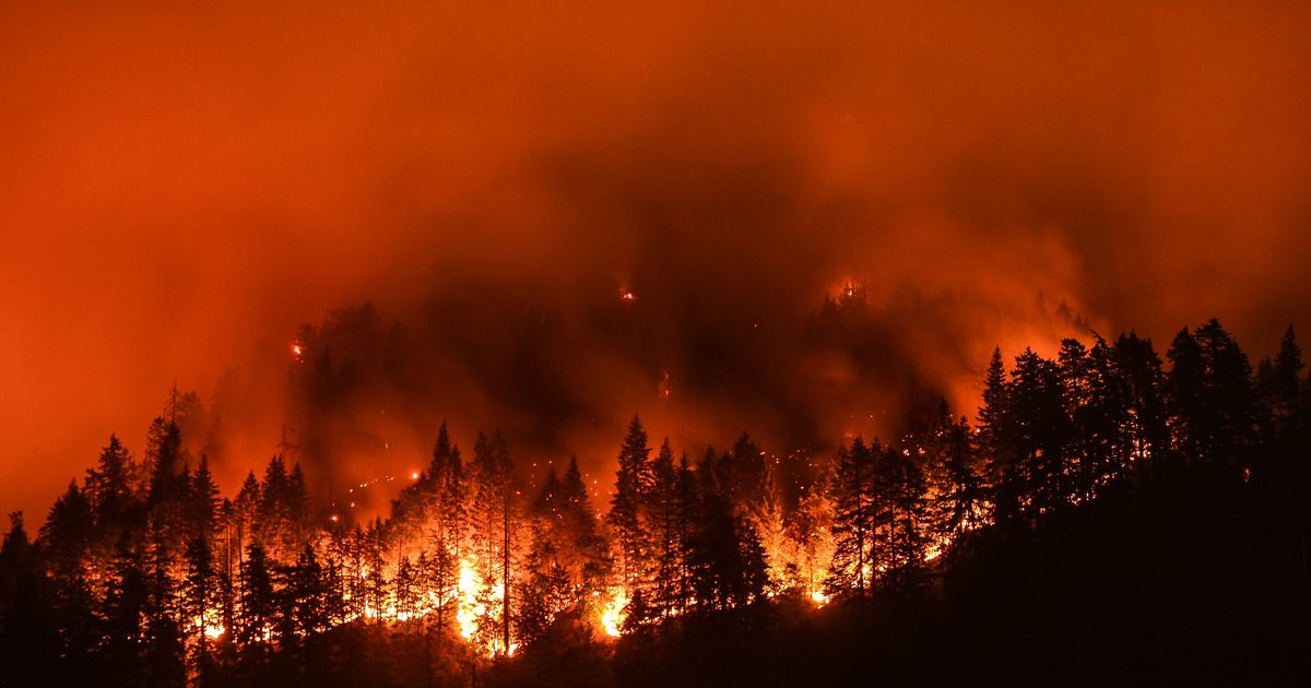 Incendios forestales devastan Los Ángeles