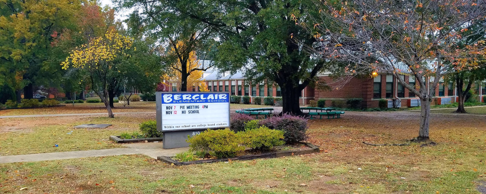 Escuela Primaria Berclair está infectada de pulgas