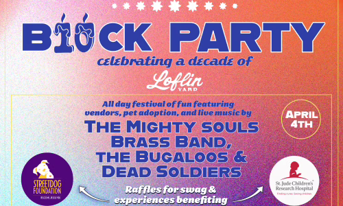 Loflin Yard 10th Birthday Block Party